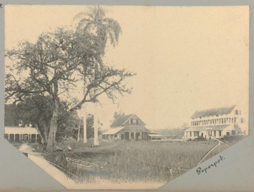 Pepper Pot