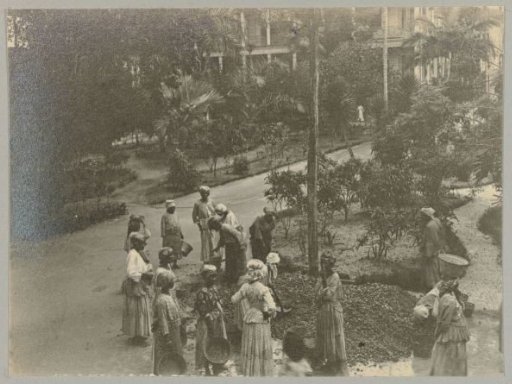 In the Garden of the Hospital