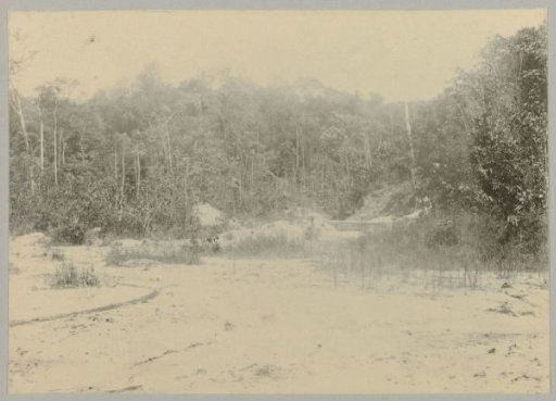 Meandering creek at placer de Jong