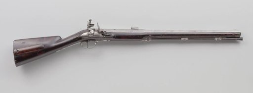 Gun for bear hunting