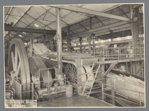 Canecutter in operation