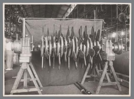 Rotor for the canecutter