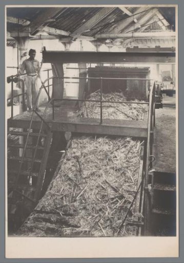 Cane carrier