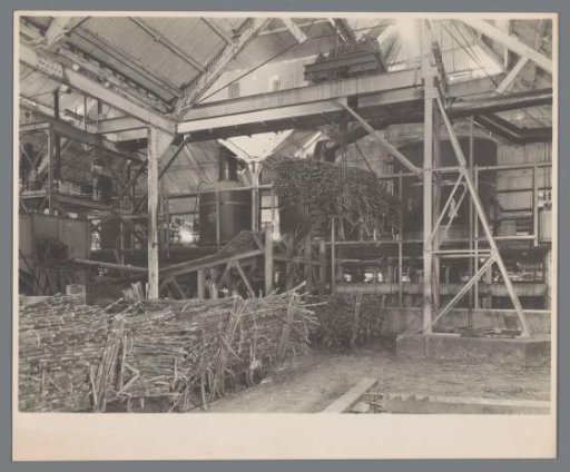 Cane unloading device in operation