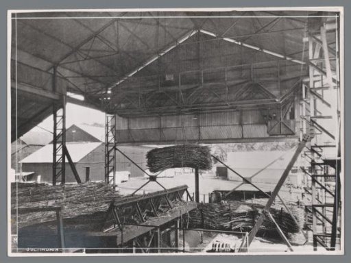 Cane unloading device in operation