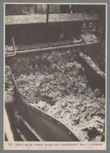 Ampas after the first mill