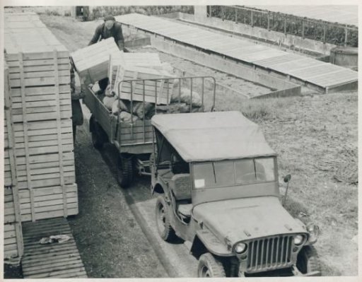 Jeeps from the USA
