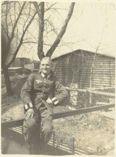 A Wehrmacht soldier on a fence