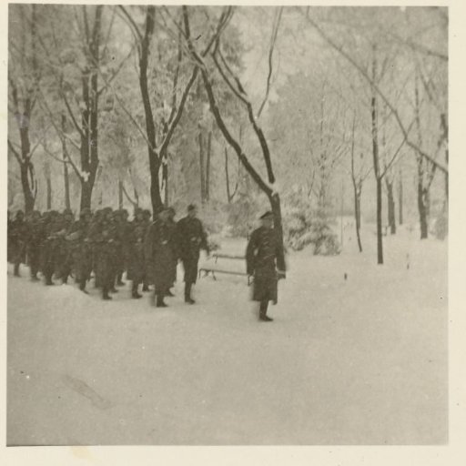 Wehrmacht soldiers in a snowy forest