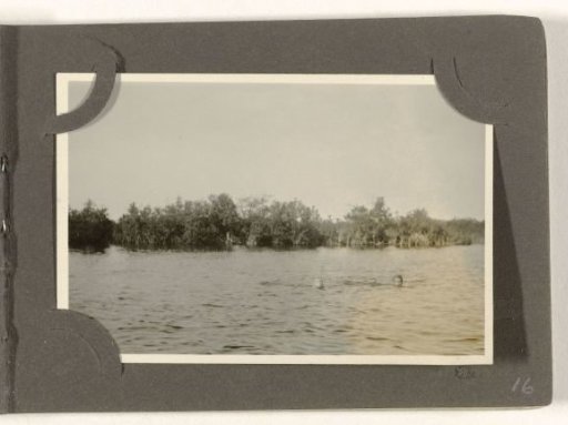 Swimming in a lake