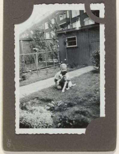 Boy with a dog