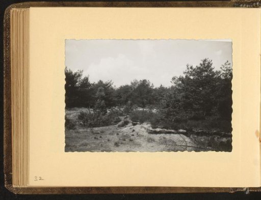 Wooded Landscape