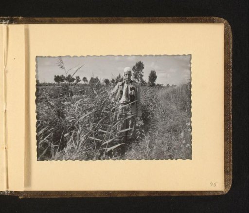 Man in the Reeds