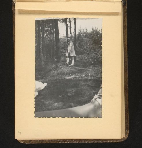 In the forest