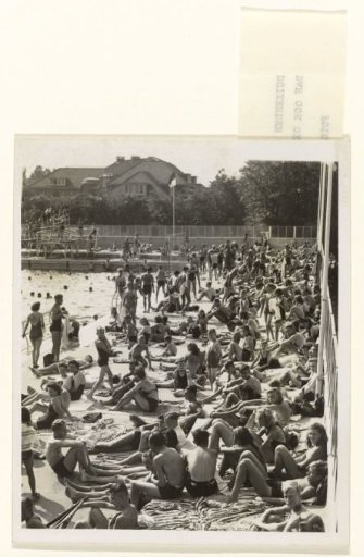 Refreshment in the Swimming Pool