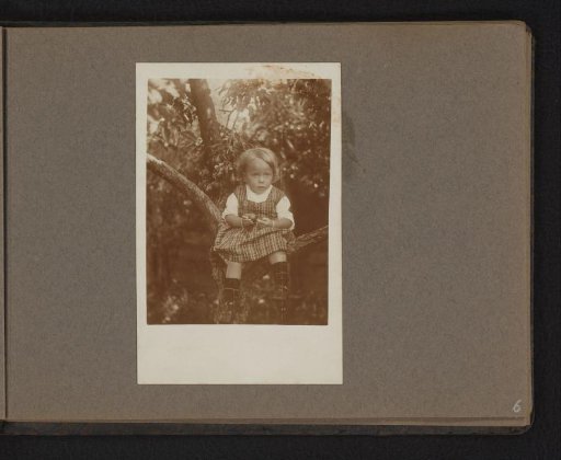 Girl Sitting in a Pear Tree