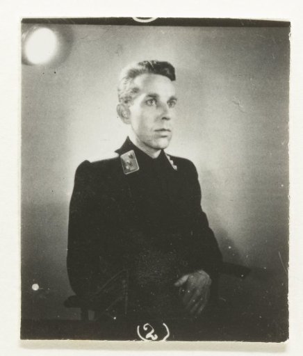 Portrait of a Member of the NSB