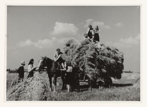 Youth storm helps with haymaking