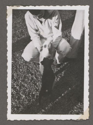 Portrait of a Soldier in Uniform with a Dog