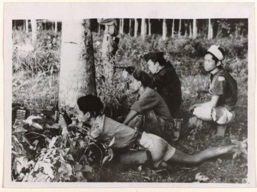 Guerrilla