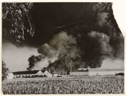 Tea Plantation on Fire