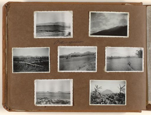 Nature photographs