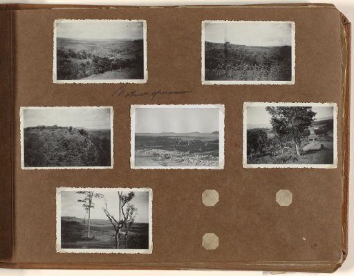 Nature photographs