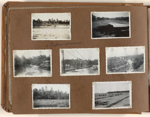 Nature photographs