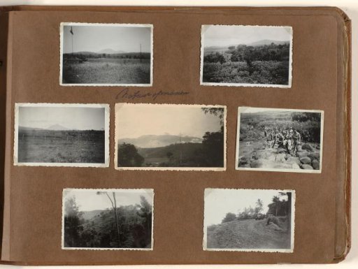 Nature photographs