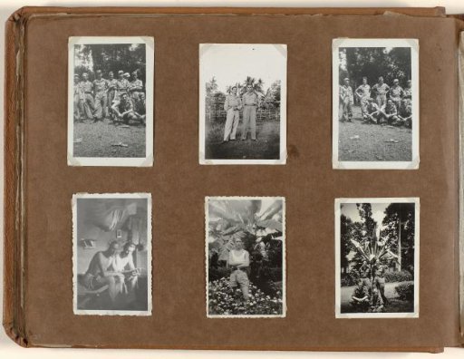 Group photographs and a plant garden