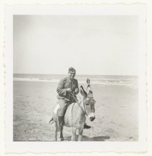 A Wehrmacht soldier riding a donkey