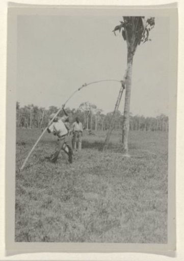 Workers at work in the field