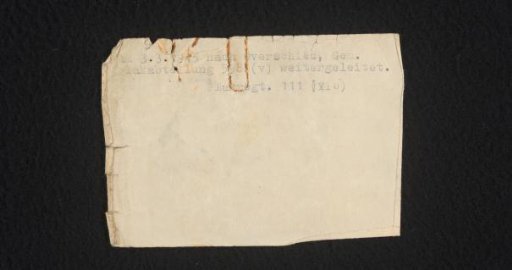 Travel Document