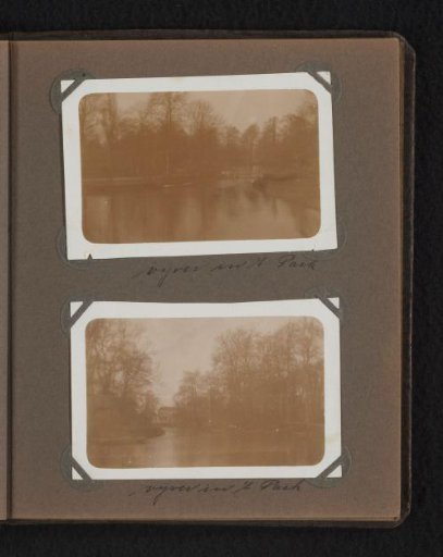 Pond in the Park
