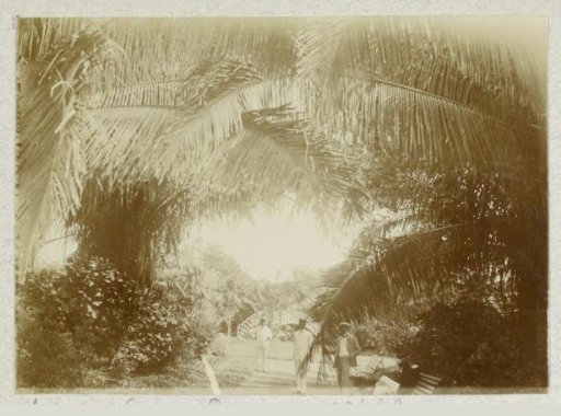 Botanical Gardens in Demerary