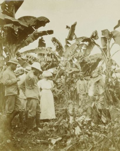 Plantation La Liberté