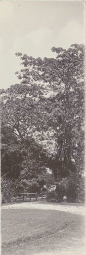 Cultuurtuin