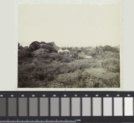 Port-au-Prince
