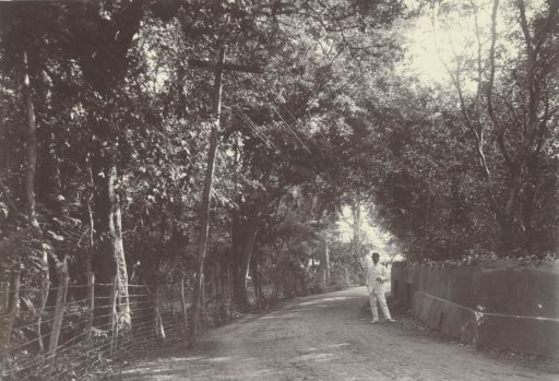 Road to Zuikertuintje