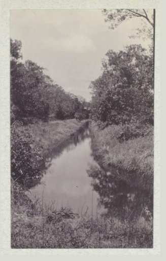 Landscape with a ditch