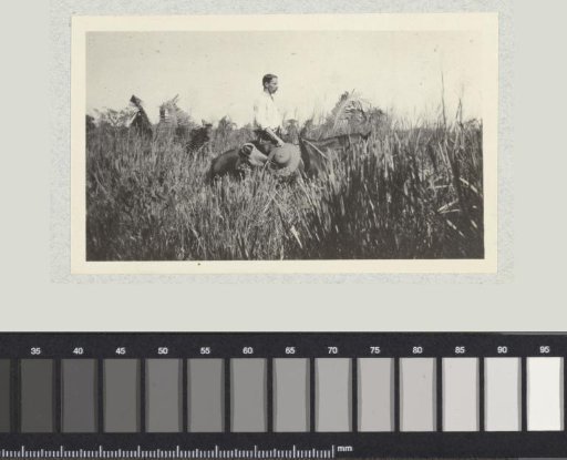 Clifford Griffith in Honduras