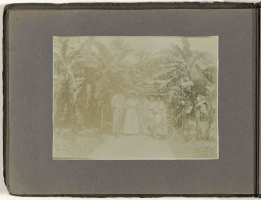 Between banana trees