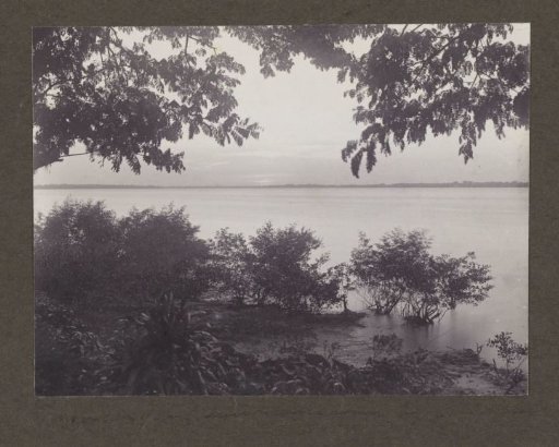 River view