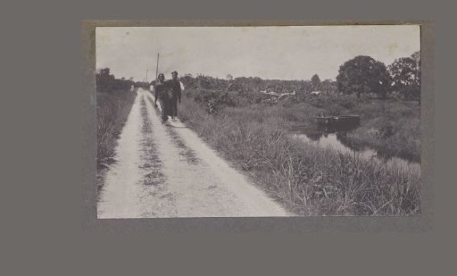 Two Hindustanis on a road