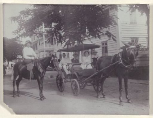 Carriage with Horse in Paramaribo