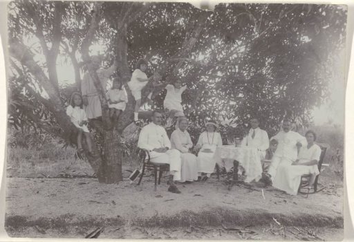 Group at the Manjaboom on Plantation Morgenstond
