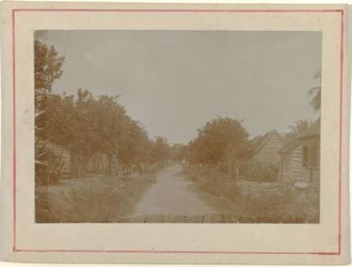Housing for plantation workers on a plantation somewhere in Suriname