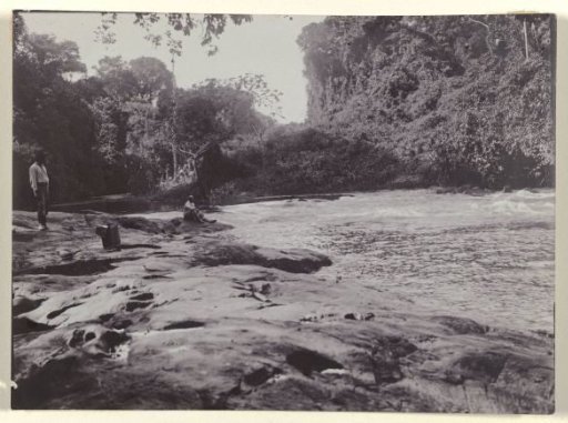 Riverbank in Suriname
