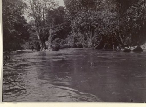Rapids in a creek