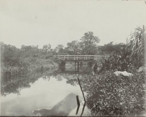 Bridge at Gonggrijpstraat in Paramaribo